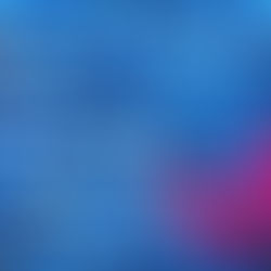 Review Tour - "Lasciami Perdere" di Barbara Morini