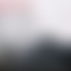 Review Party - "Il ragazzo copertina e il patto della Ferrari" di Candy Larsson