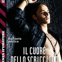 "Il cuore dello scricciolo" di Jessica Hellskyn