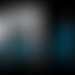 "โฟโโกโขโโจ โโโง. โโ โโโโโโโก โฅโโโโโฃโฃโ รจ โโโโโโกโ" โโ โฟโโฆโโ โบ. โถโโ