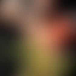 "Flashes and Sorrow" di Teresa Greco