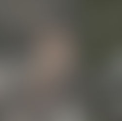 Cover Reveal - "Il sentiero degli Edelweiss" di Cristiano Pedrini