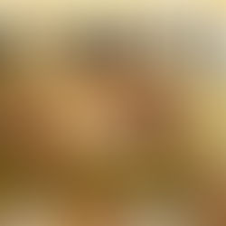 Review Party - "Inganno letale a Manhattan" di Brenda Mill