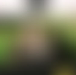 "Non posso innamorarmi ancora" di Liz Mac Tea