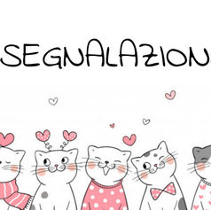 "โโโกโโโ โ โ'โโกโโโโโโ โขโโโฉโ โฃโโโโ" โโ โโโโฅโโ โโโโโคโฉโฉโ