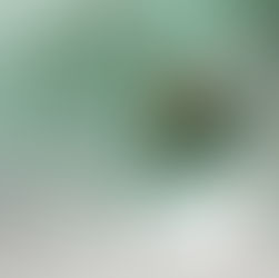 ℂ𝕠𝕧𝕖𝕣 ℝ𝕖𝕧𝕖𝕒𝕝 - "𝕀𝕣𝕣𝕖𝕤𝕚𝕤𝕥𝕚𝕓𝕚𝕝𝕖" 𝕕𝕚 𝕁𝕖𝕟𝕟𝕒 ℍ𝕒𝕣𝕥𝕝𝕖𝕪