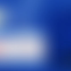 Cover Reveal - "Appuntamento con il lupo" di Andie M. Long