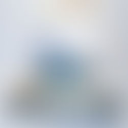 "Sotto Copertura" di Rossella Gallotti