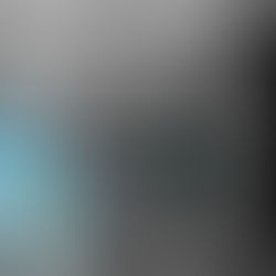 ℂ𝕠𝕧𝕖𝕣 ℝ𝕖𝕧𝕖𝕒𝕝- "𝕋𝕙𝕖 𝕗𝕠𝕣𝕓𝕚𝕕𝕕𝕖𝕟 ℝ𝕠𝕤𝕖" 𝕕𝕚 𝔹𝕣𝕚𝕒𝕟𝕟𝕒 ℂ𝕠𝕧𝕖