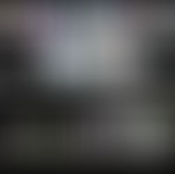 "Le Top Five delle Gatte 2019"