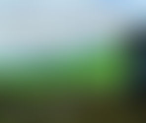 ๐ก๐ฎ๐ฟ๐ฒ๐ฎ๐ ๐๐ช๐ป๐ฝ๐ - "๐๐ช ๐น๐ธ๐ป๐ฝ๐ช ๐ช๐น๐ฎ๐ป๐ฝ๐ช" ๐ญ๐ฒ ๐๐ฑ๐ช๐ป๐ต๐ธ๐ฝ๐ฝ๐ฎ ๐ก๐ฒ๐ญ๐ญ๐ฎ๐ต๐ต