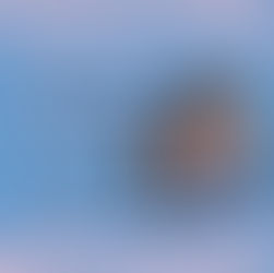 𝓡𝓮𝓿𝓲𝓮𝔀 𝓟𝓪𝓻𝓽𝔂 - " 𝓟𝓻𝓲𝓰𝓲𝓸𝓷𝓲𝓮𝓻𝓪 𝓭𝓮𝓵 𝓽𝓮𝓶𝓹𝓸" 𝓭𝓲 𝓛𝓪𝓾𝓻𝓪 𝓖𝓪𝔂