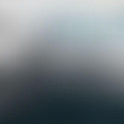 Review party - "The Aristocrats" di Daria Torresan e Brunilda Begaj