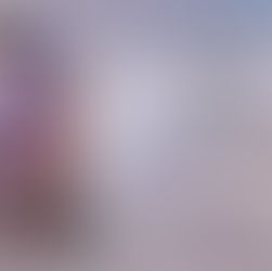 Review Tour - "Paura di volare" di S.L. Jennings