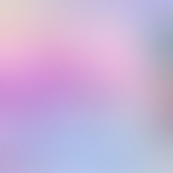 Review Tour - “Harley & Rose” di Carmen Jenner