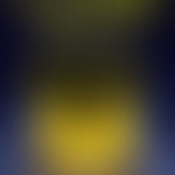 "Il testimone perfetto" di A.J. Banner