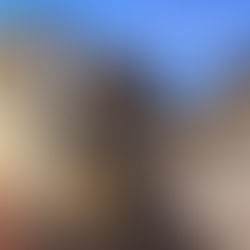 𝓡𝓮𝓿𝓲𝓮𝔀 𝓣𝓸𝓾𝓻 "𝓠𝓾𝓪𝓽𝓽𝓻𝓸 𝓪𝓷𝔃𝓲𝓪𝓷𝓲, 𝓭𝓾𝓮 𝓬𝓪𝓷𝓲 𝓮 𝓾𝓷𝓪 𝓹𝓻𝓸𝓼𝓽𝓲𝓽𝓾𝓽𝓪