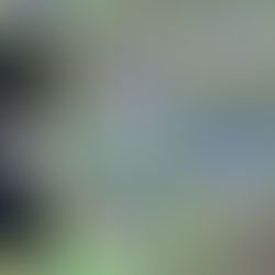 Review Party - "The Bachelors" di ES Carter