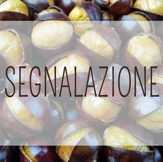 "โพโ โโโโฃโโขโโ โโ โธโโโฃโโกโฅโโโโ" โโ โโขโโโก โโโโโ