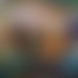 Review Party - "703 giorni" di L.F. Koraline