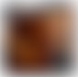 ℂ𝕠𝕧𝕖𝕣 ℝ𝕖𝕧𝕖𝕒𝕝 - "𝕀𝕝 𝕞𝕚𝕠 𝕕𝕖𝕞𝕠𝕟𝕖" 𝕕𝕚 𝕄𝕠𝕟𝕚𝕔𝕒 𝔹.