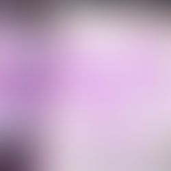 "Le migliori letture delle Gatte di Ottobre"