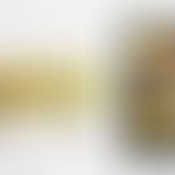 Review Party - "Il cuore dalla parte giusta" di Giovanna Mazzilli