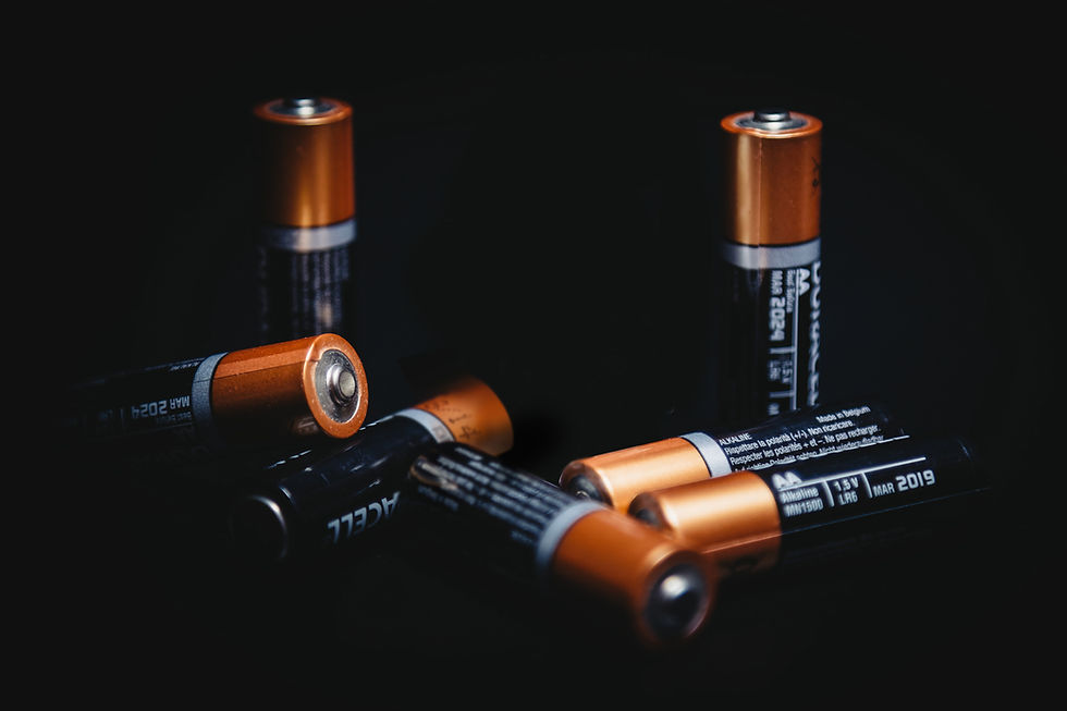 Alkaline Batteries