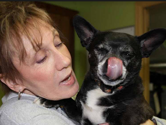 Volunteer of the Month for March: Susan Lee