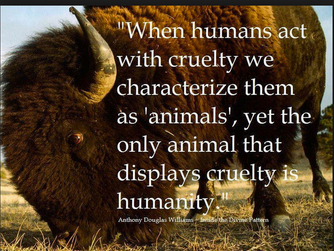 What constitutes animal abuse and neglect?