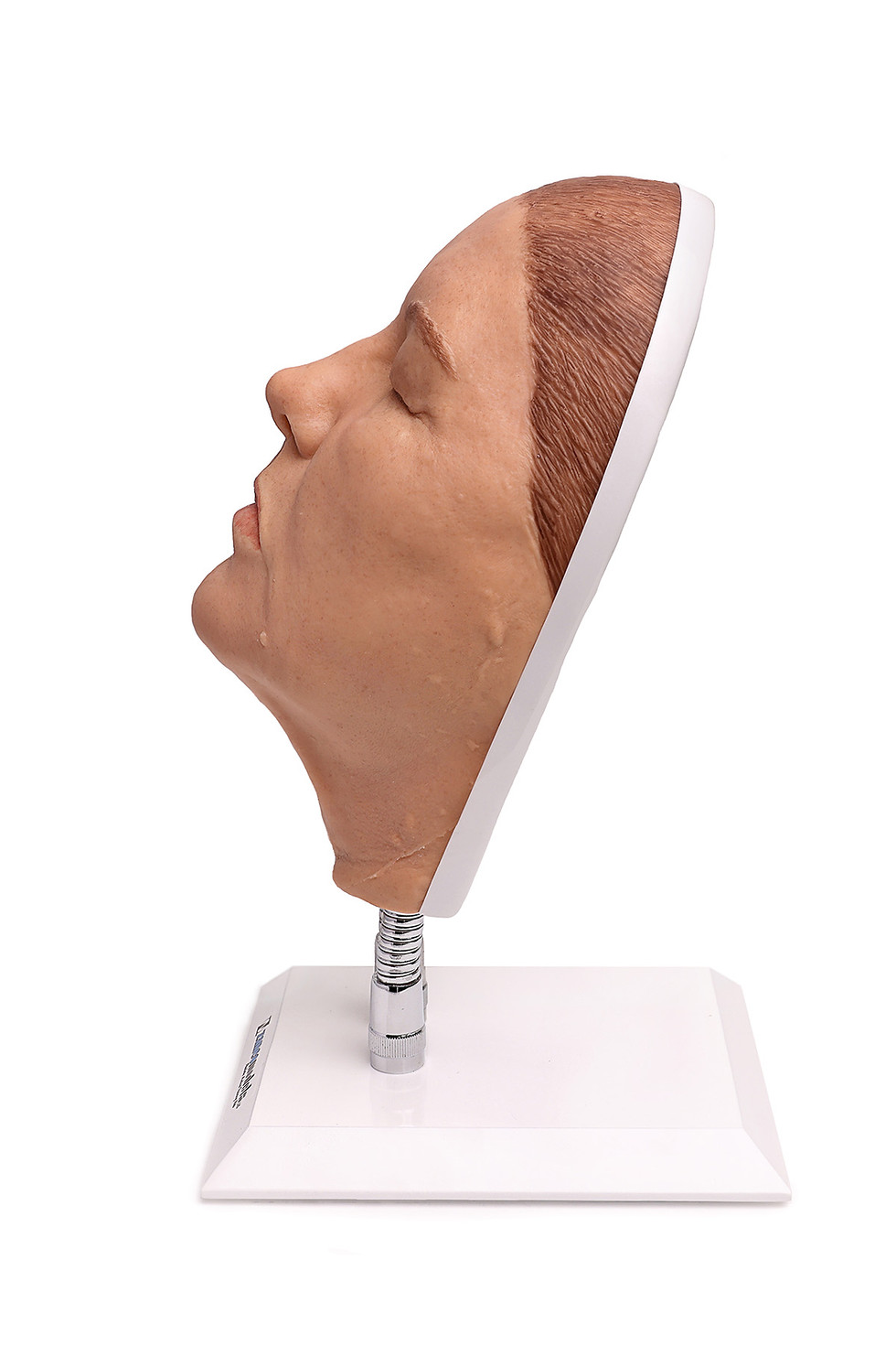 Thumbnail: Lesley - Original Facial Injection Manikin