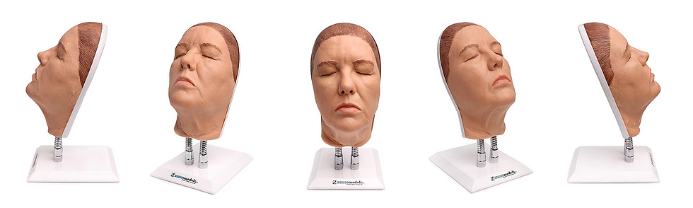 Thumbnail: Lesley - Original Facial Injection Manikin