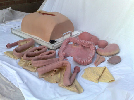 230320102935 - Copy.jpg