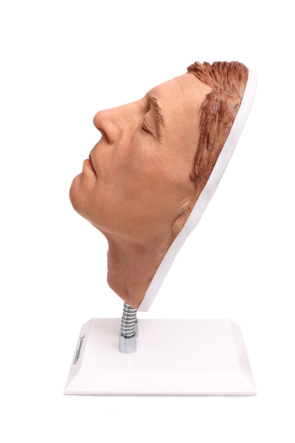 Thumbnail: Graham - Original Facial Injection Manikin