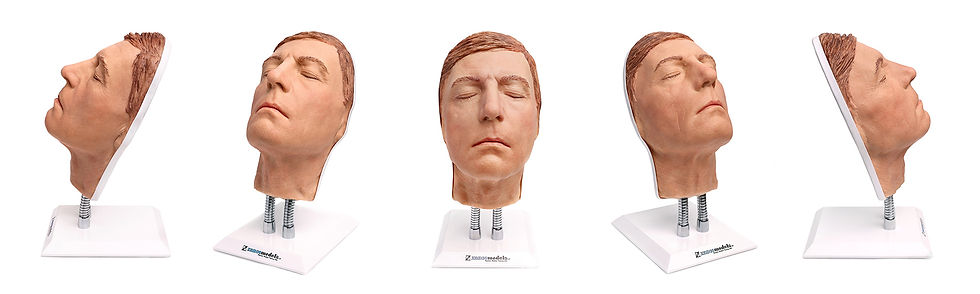 Thumbnail: Graham - Original Facial Injection Manikin