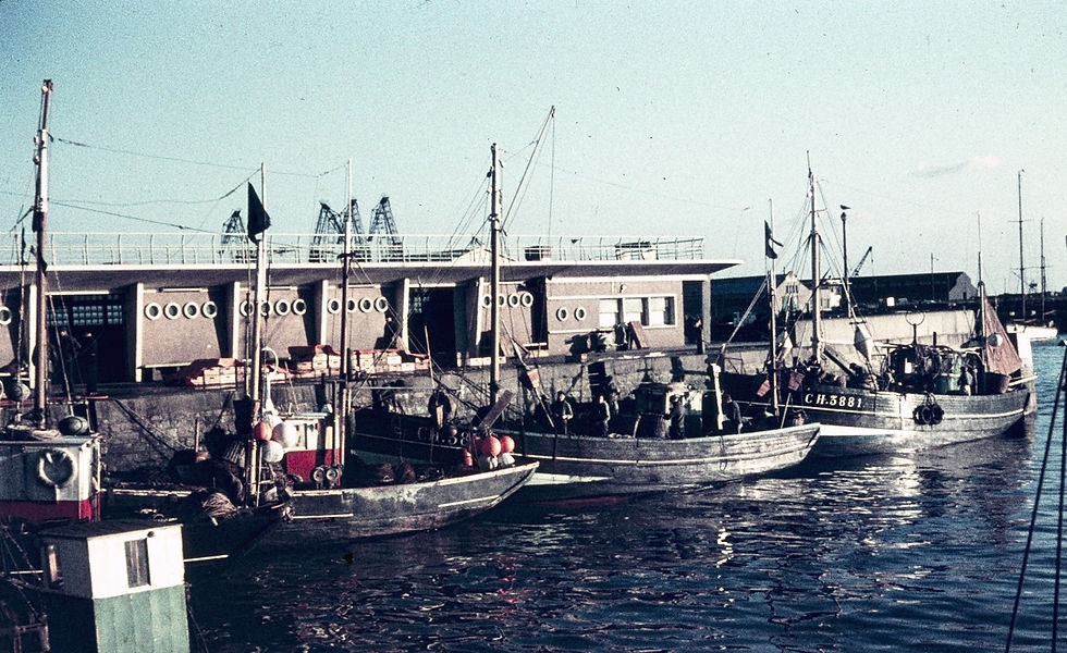 La Petite Criée de l’Épi à Cherbourg : hall de stockage et halle à marée des cordiers du Cotentin