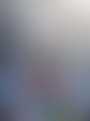 Grafstract: East New York Installation