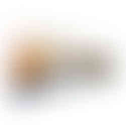 Pochette de CD de l'artiste Xavier HARRY photographiée par Marie HARRY