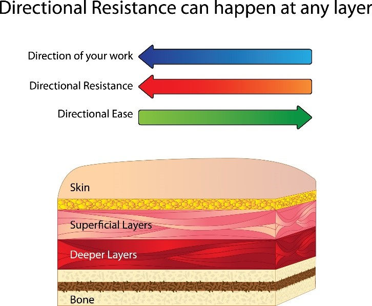 Directional Resistance