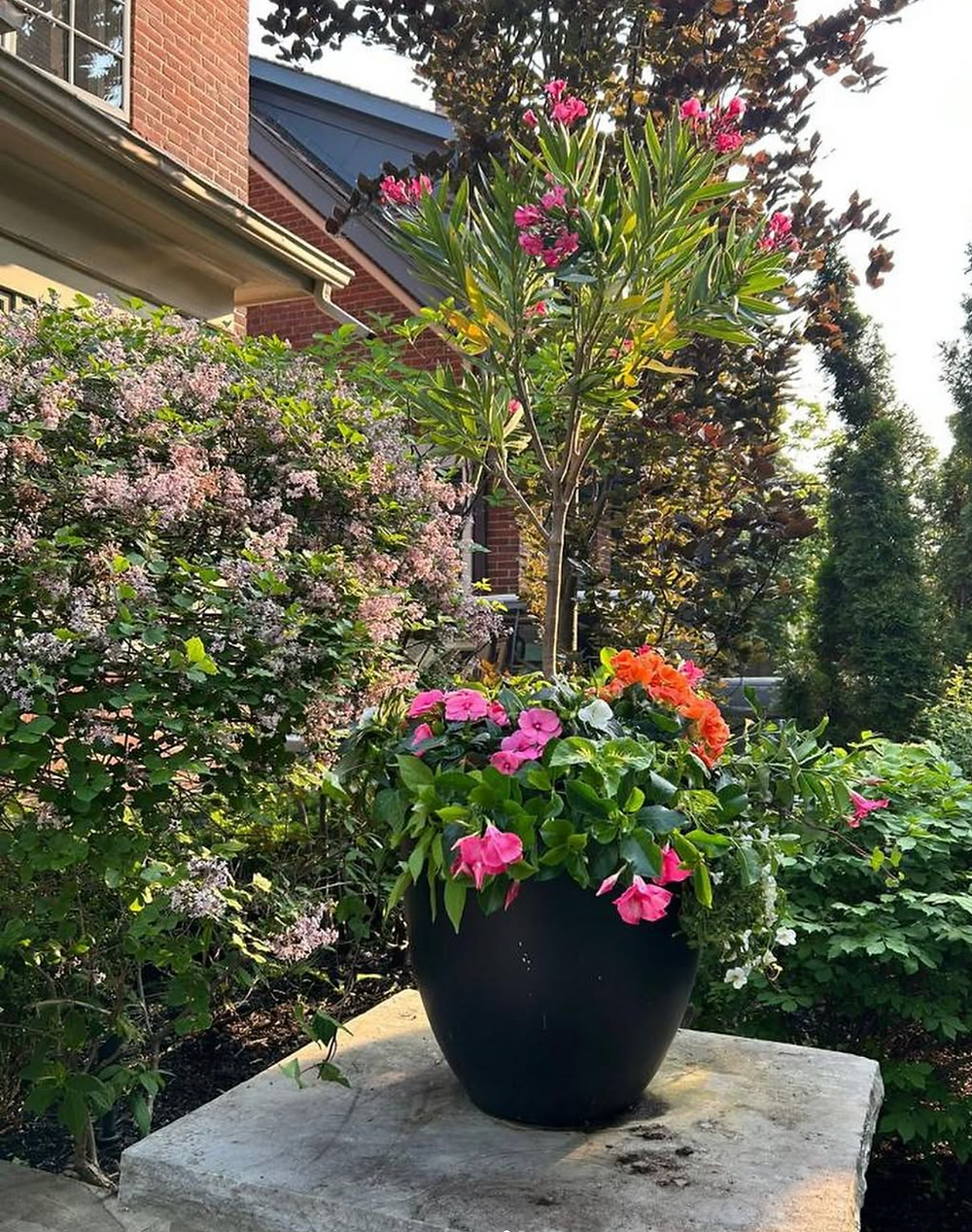 Black planter with pink and orange flowers in a high end garden design.