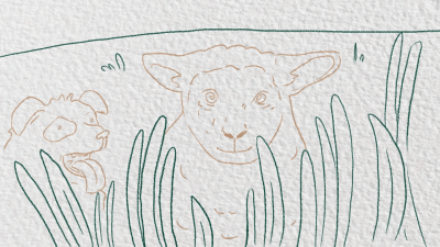 gif 16 (1).gif