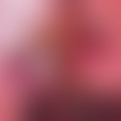 Carolyn Gahan Named Finalist at AHFA 2026