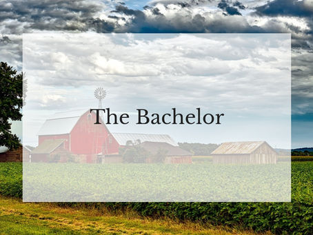 The Bachelor