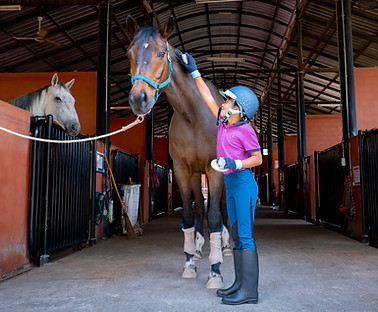 Happy Horse Stables Chiang Mai Horse Riding Chiang Mai Thailand