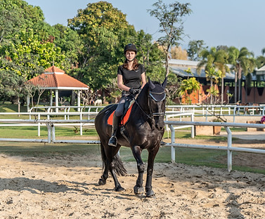 Happy Horse Stables Chiang Mai Horse Riding Chiang Mai Thailand