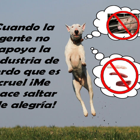 "¡Me hace saltar de alegría!” 