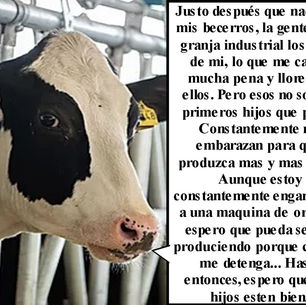 "Espero que mis hijos esten bien."