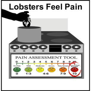 Lobsters Feel Pain