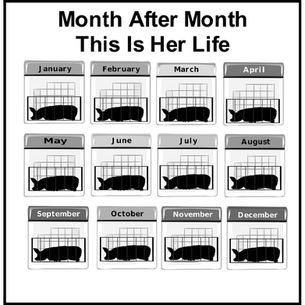 Month After Month