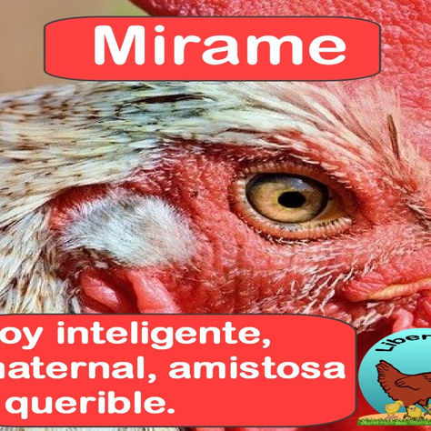 "Mirame."